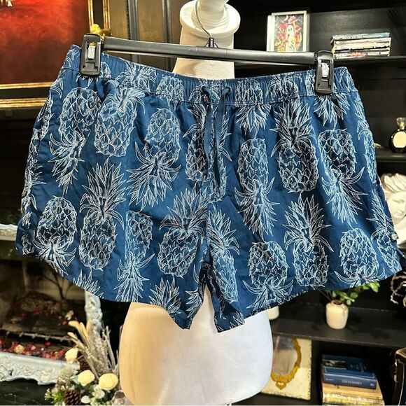 Lauren James Blue Pineapple Print Shorts Size Large - Picture 1 of 10